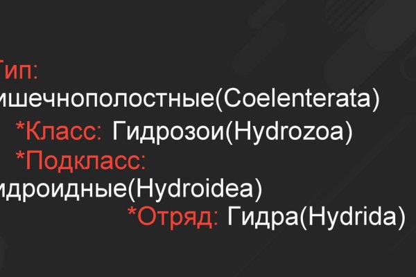 Почему не работает кракен сегодня