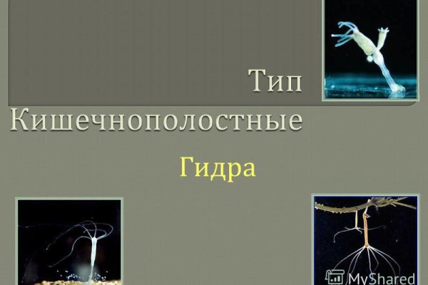 Кракен даркнет купить